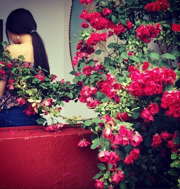 Посвящение