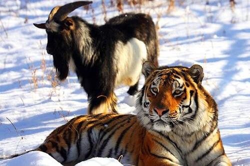 ЗАПРОС К ВЛАСТЯМ