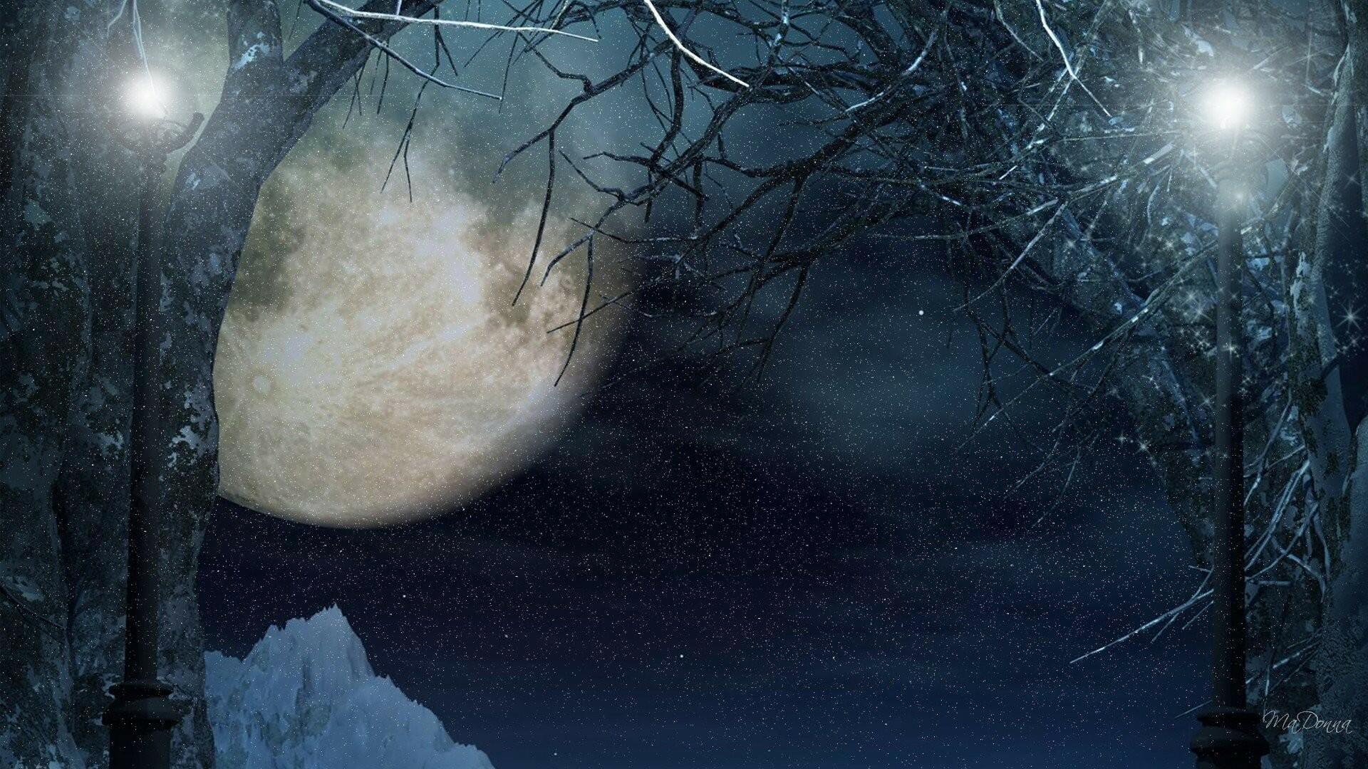 Луна и снег