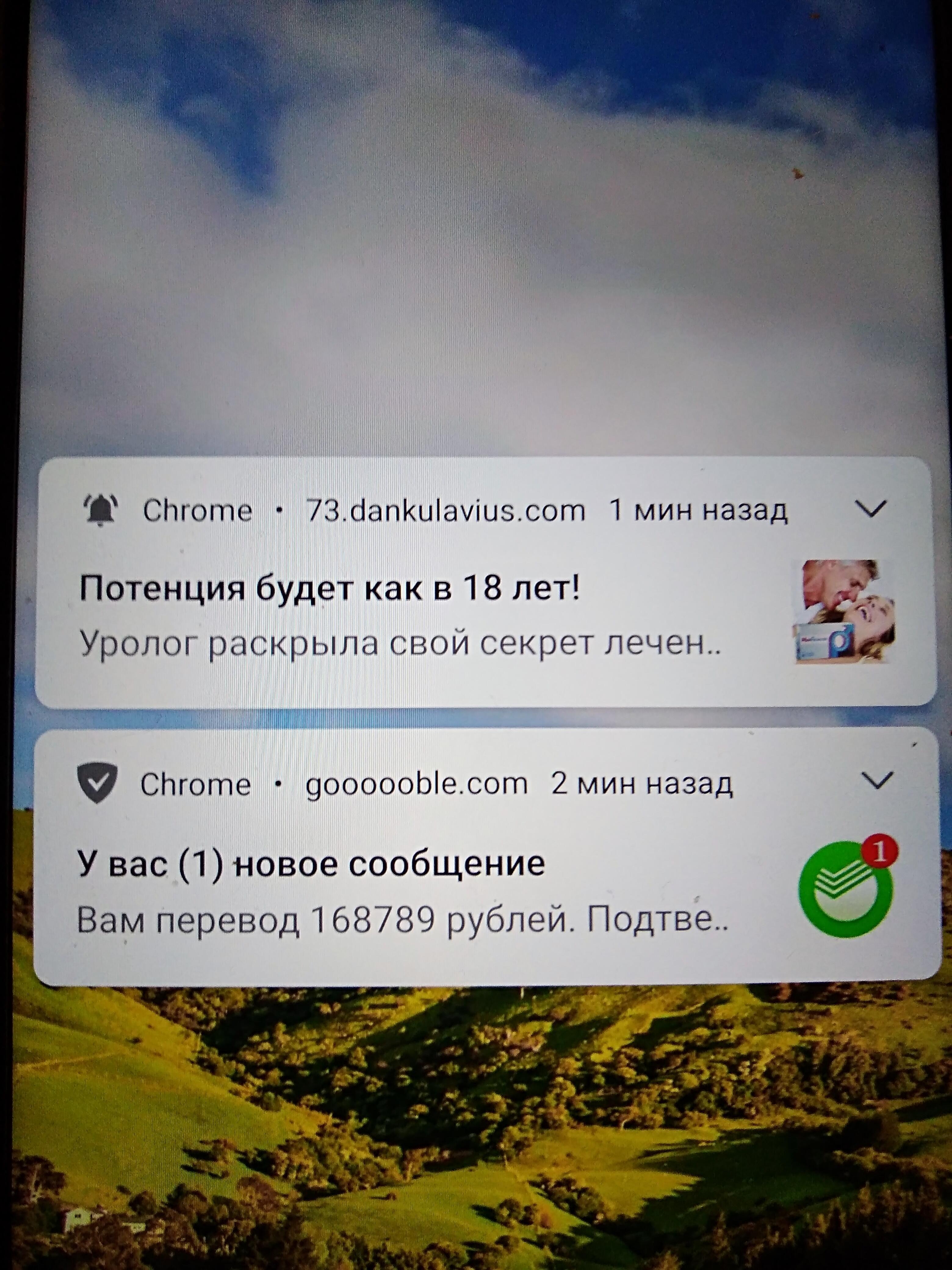 Пора в психушку 