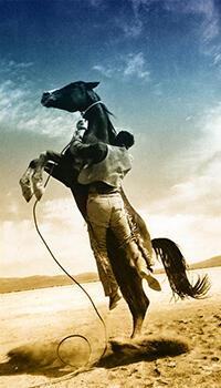 ЛЕТИ... ЛЕТИ, МОЙ ВОРОНОЙ...