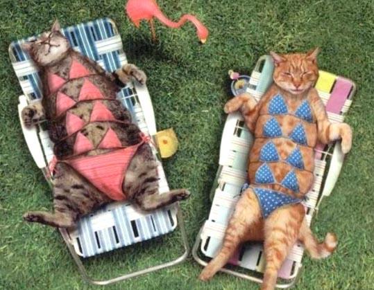 Не в тренде