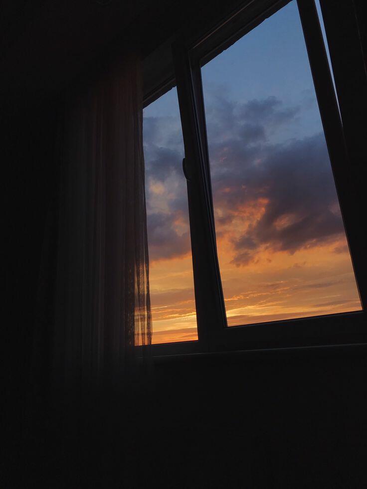 КОВЧЕГ СЕМЬИ