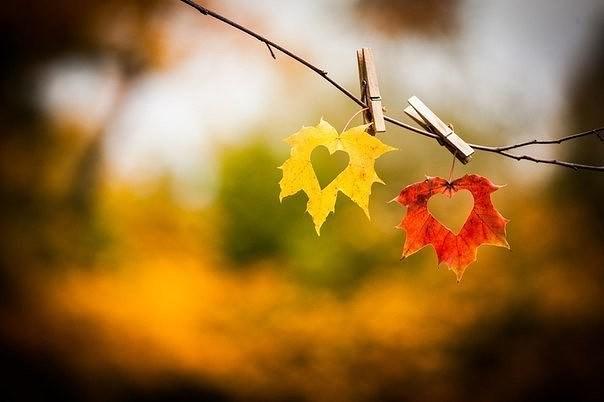 ПОСЛЕДНИЙ ЛИСТОПАД