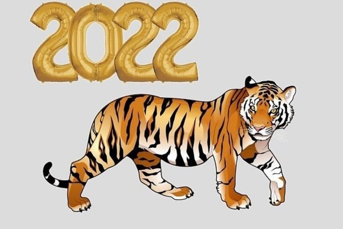 Год какого тигра 2022