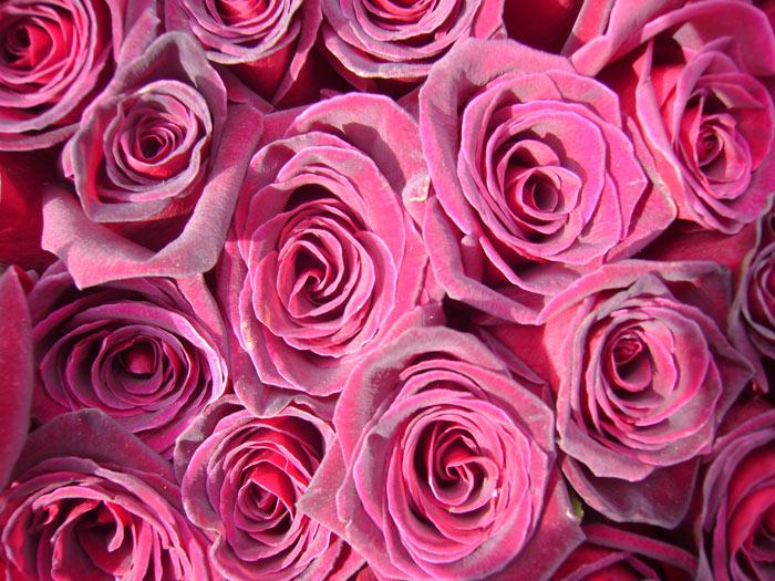 Любовь как тихий ветер