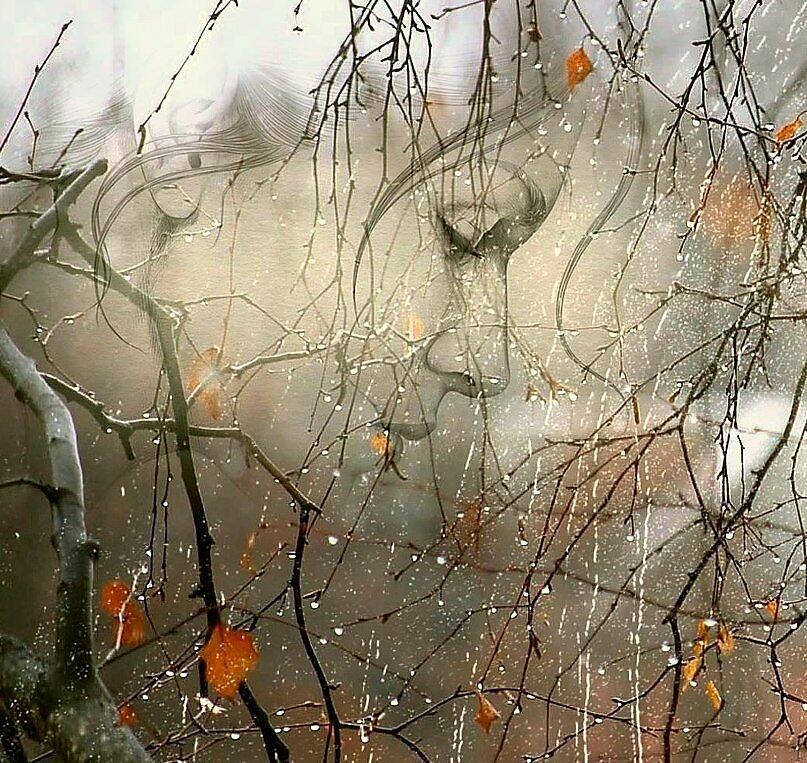 Особый сезон