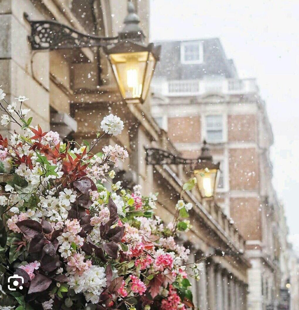 Снег в июле