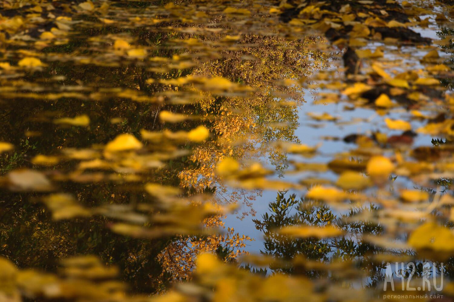 "Как мечту - эту осень я ждал..." (15.10.2019)