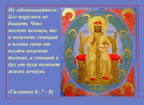 Пока есть время……….