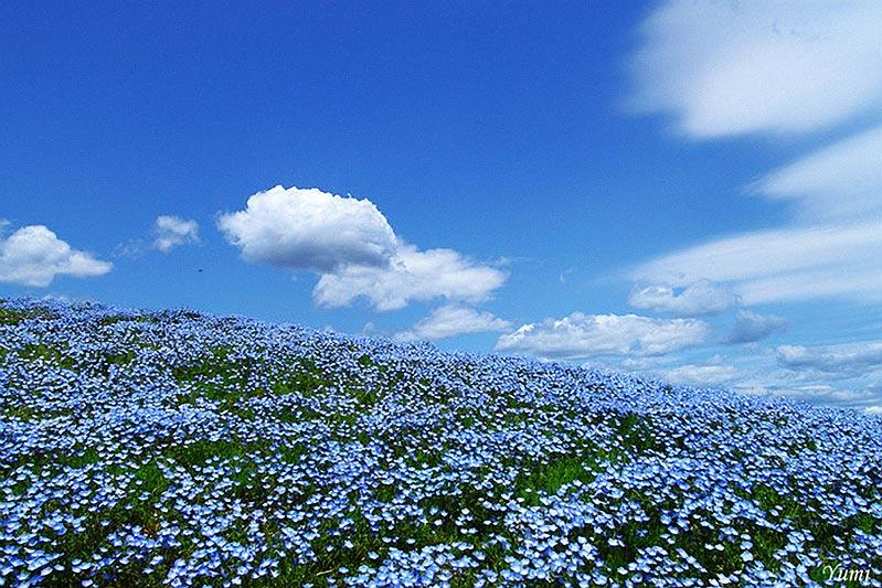 Я БОЛЬНА БЕЗНАДЁЖНО РОССИЕЮ