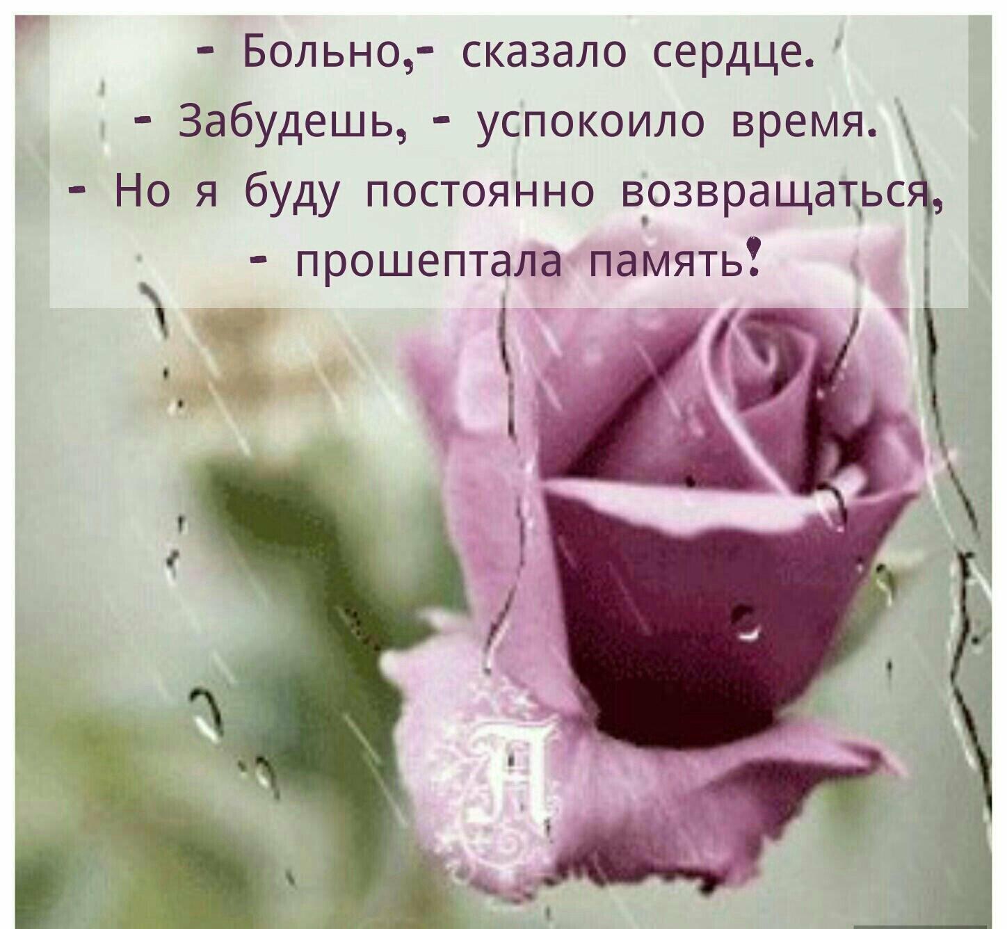 ПОРА ОТКРЫВАТЬ ЭТУ ТАЙНУЮ ЗАВЕСУ...