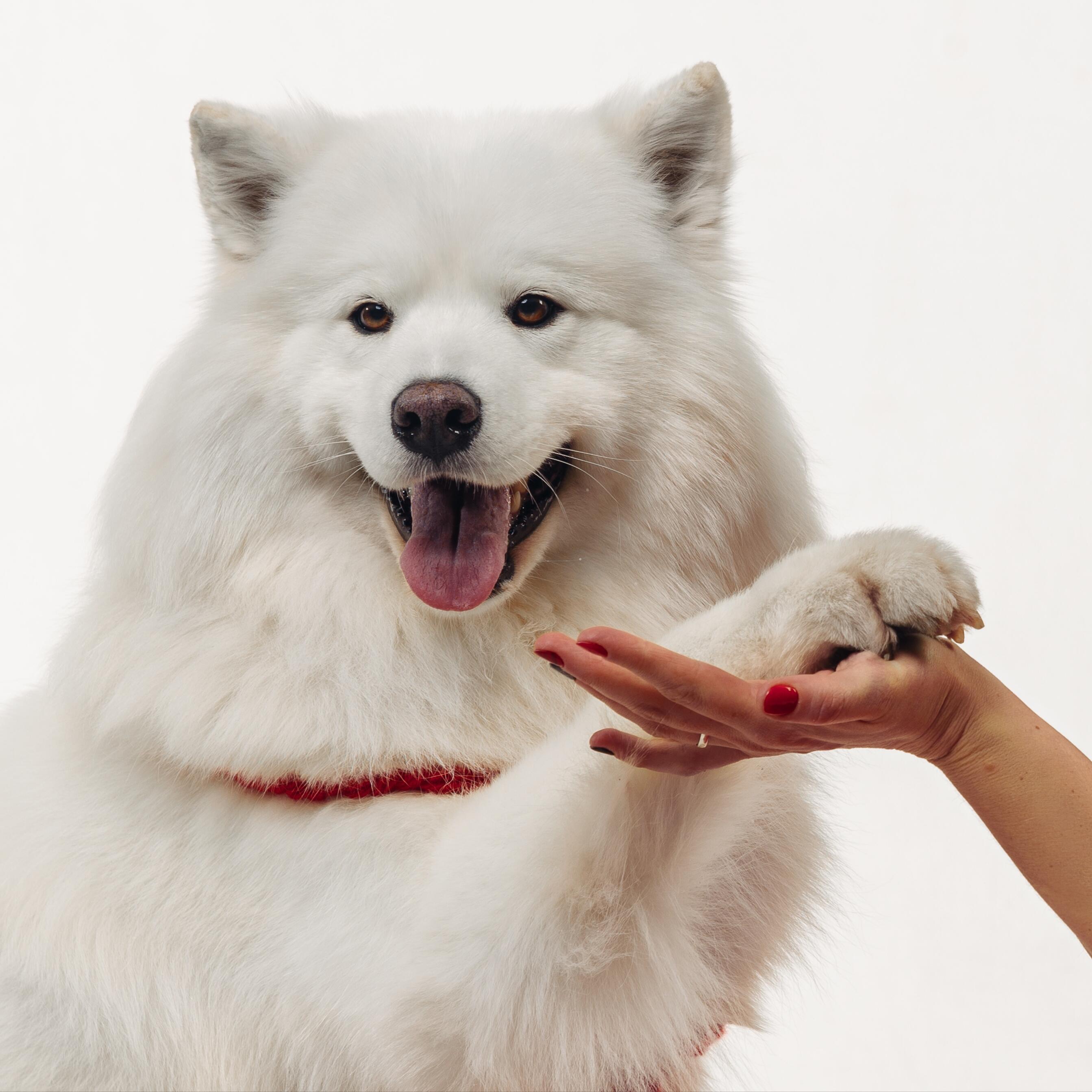 Улыбайтесь люди чаще! 