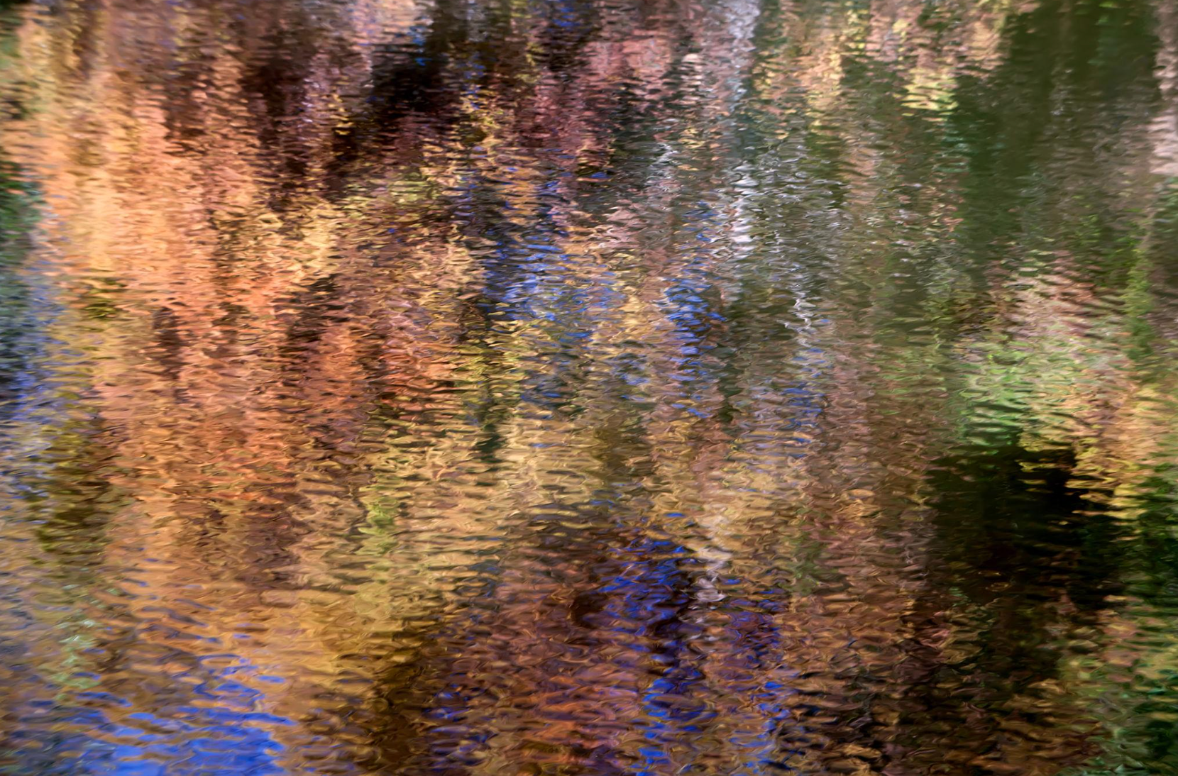 МУЗЫКА СВЕТА