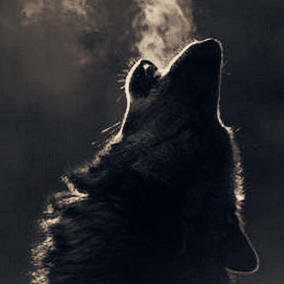 Смерть волчицы