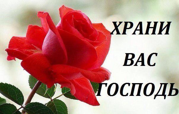 Иголки здоровья от 23. 07. 2011