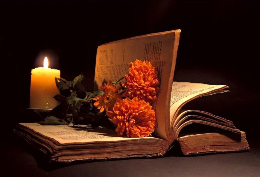 Добрый, живые открытки книга