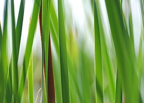 Когда я умру...