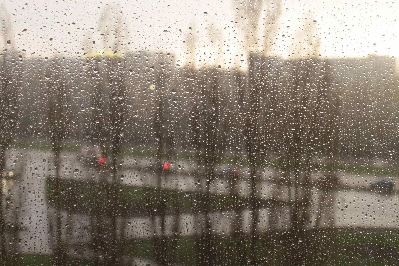 Холодный май