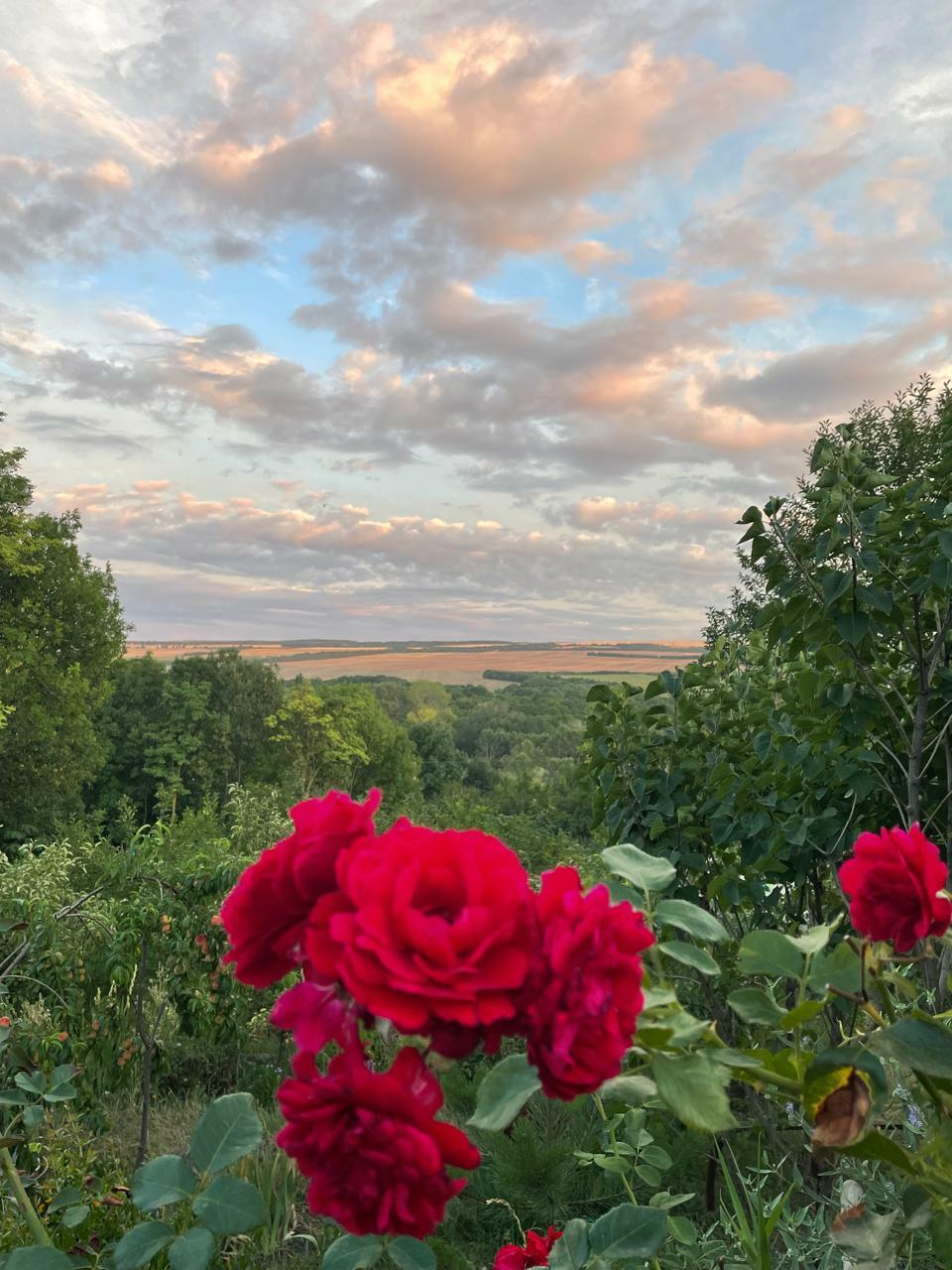Благодарю за день вчерашний