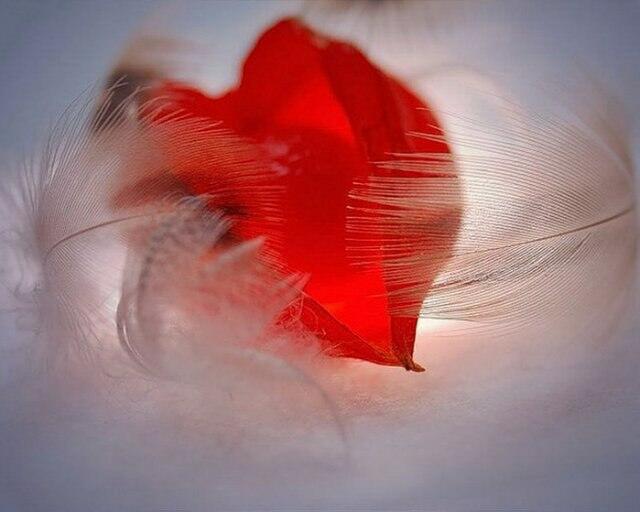 Прекрасное слово сегодня