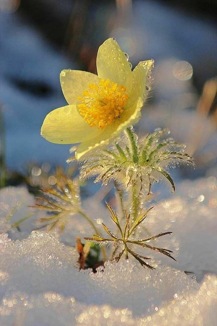 С ТОБОЙ МЫ ТОЧНО НЕ ЗАВЯНЕМ...