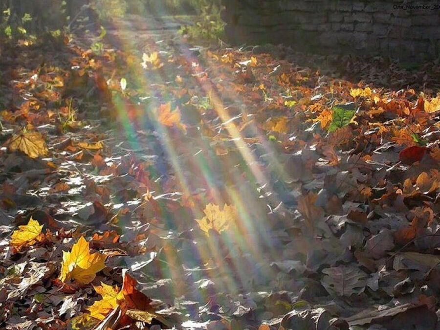 Трезвелось