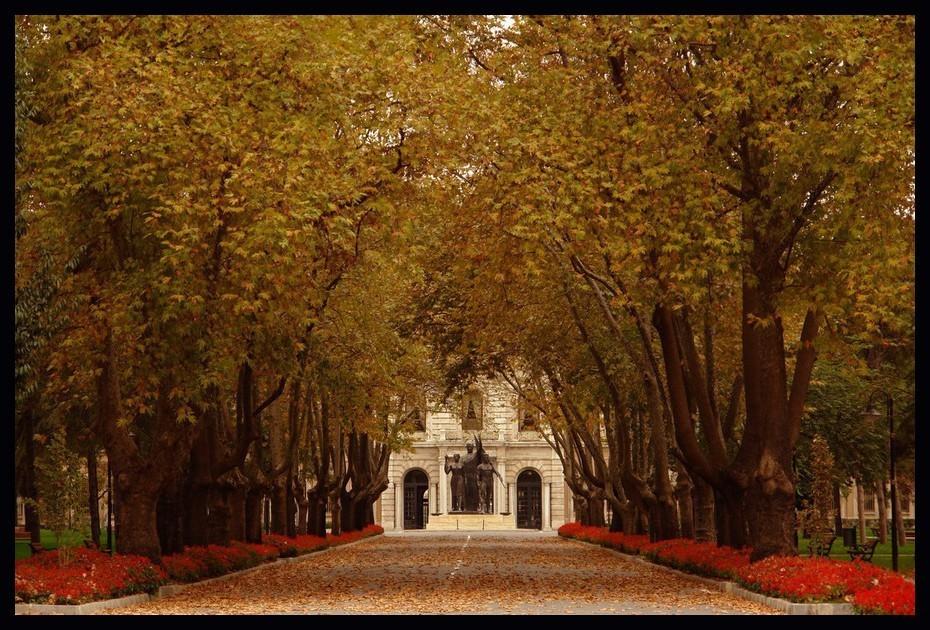 Осень в стамбуле