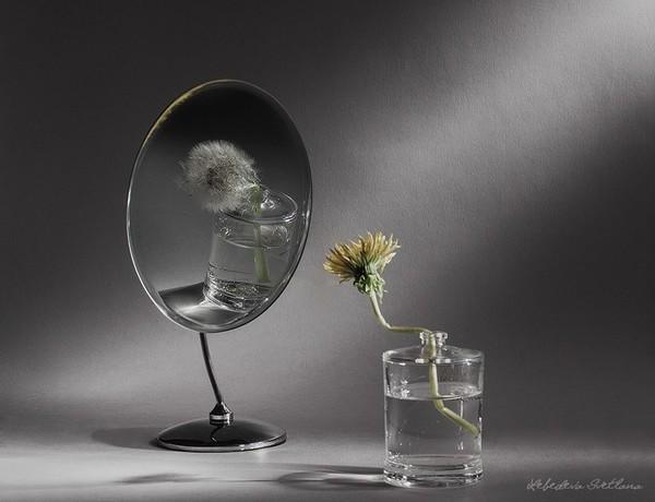 "Я стыжусь своего отражения" (01.06.2018)