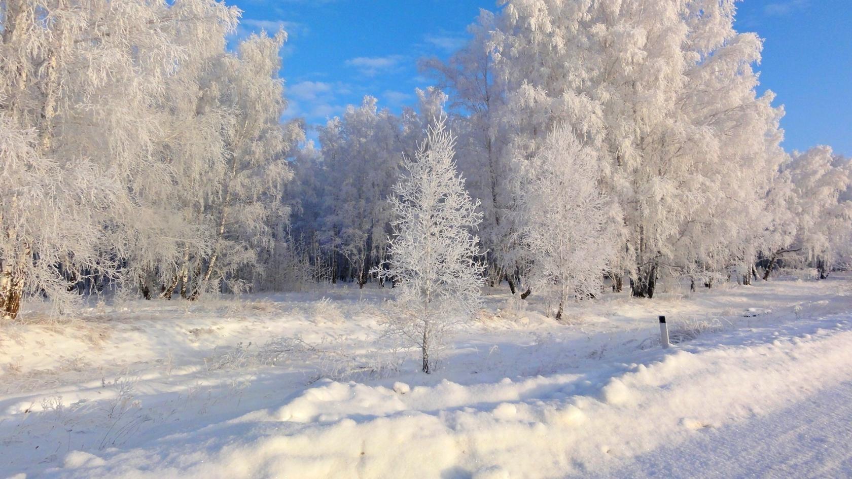 Щедра,во истину щедра!