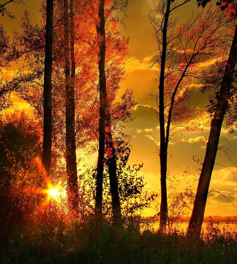 КРАСОТА ЗАКАТОВ