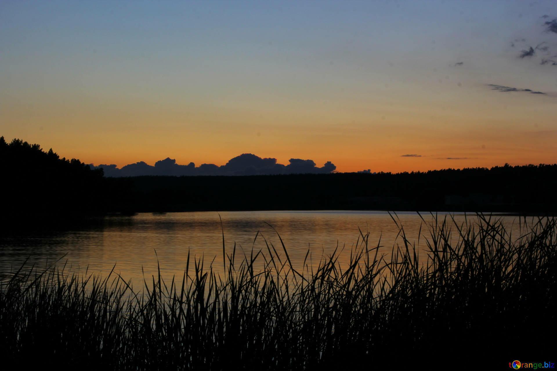 ПОСВЯЩЕНИЕ ТИШИНЕ