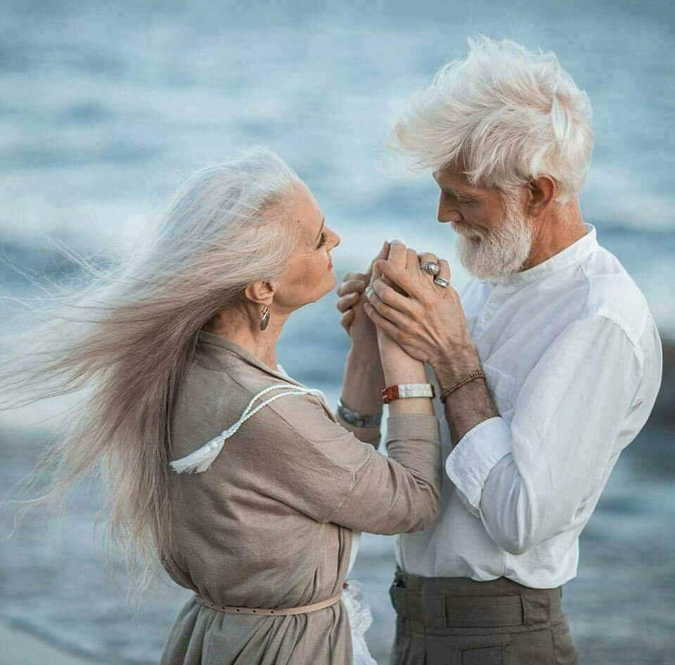 Приручивший зиму