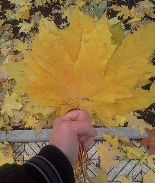 "Букет" (25.10.2015)