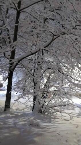 Видимое-невидимое