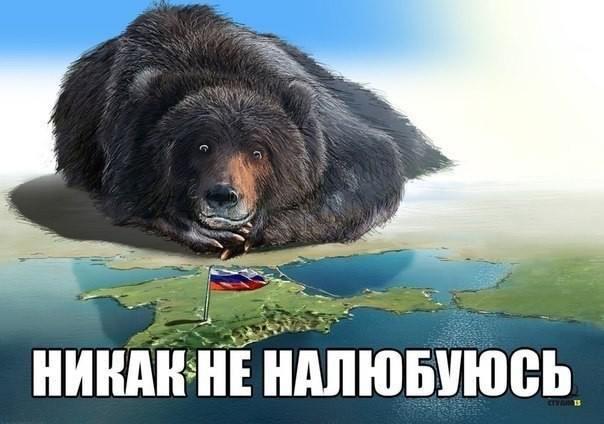 Медведь