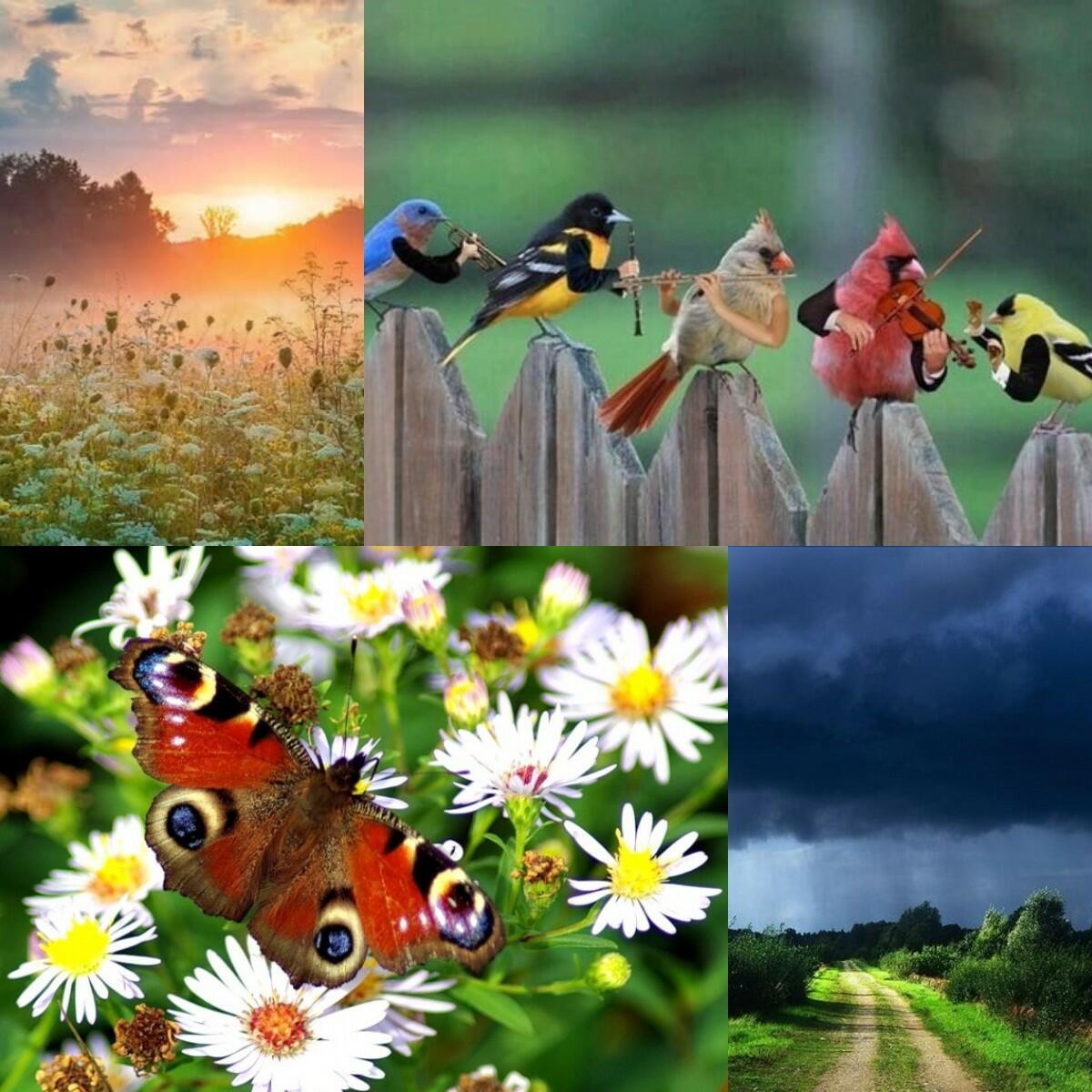 ---Чудесно, правда---