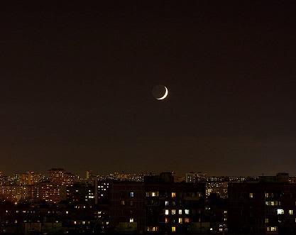 Не хлебом единым