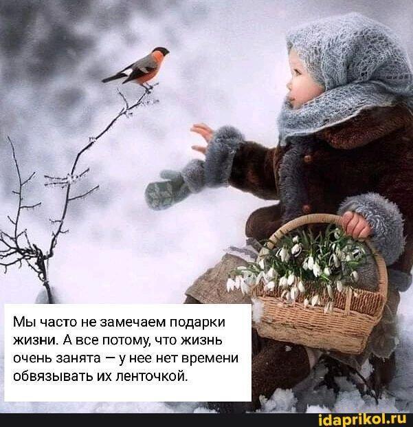 Подарки судьбы