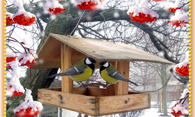 СКІЛЬКИ СНІГУ НАМЕЛО,,,