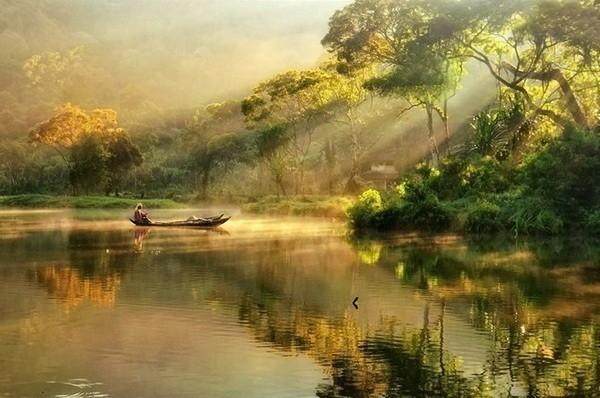 АНЯ 8. Как мужик корову покупал