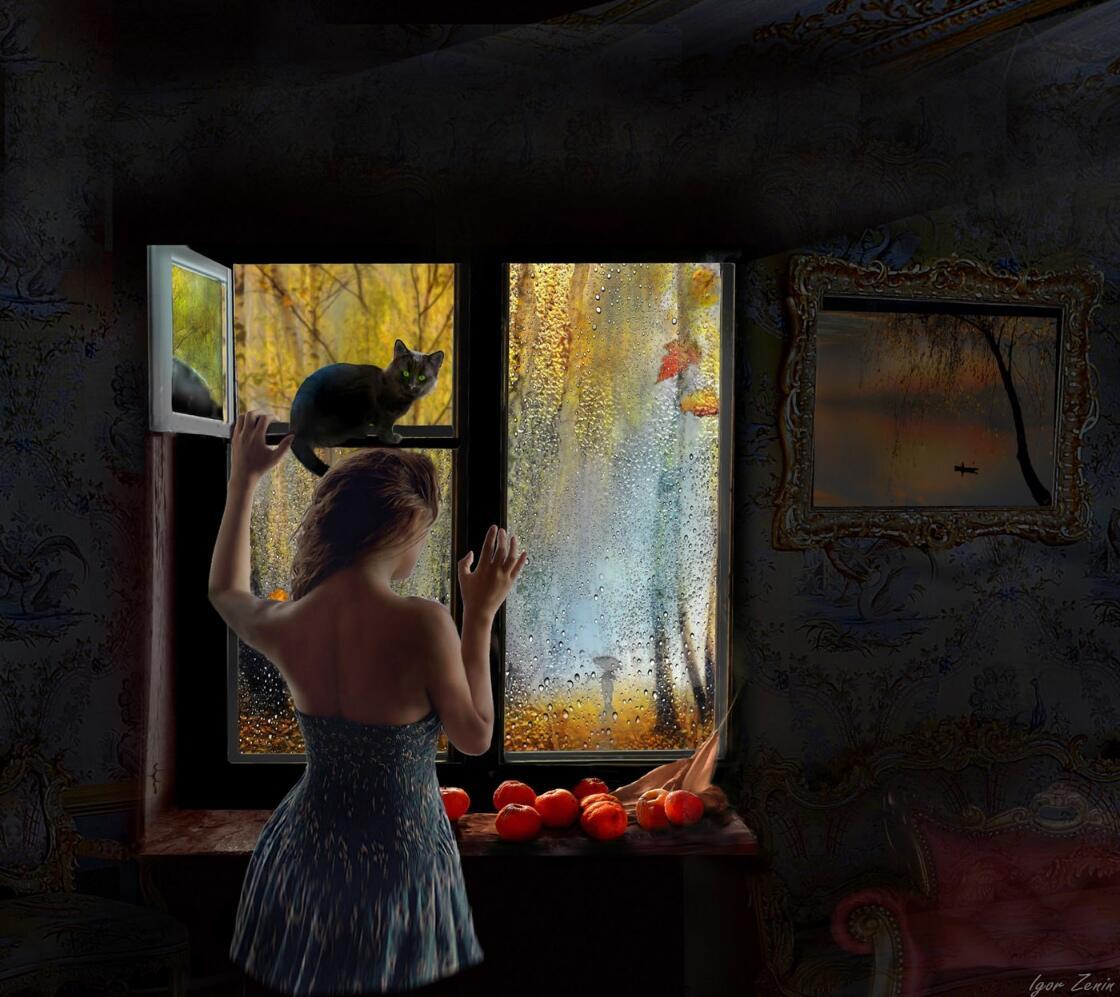 В одиночество тёмных комнат 