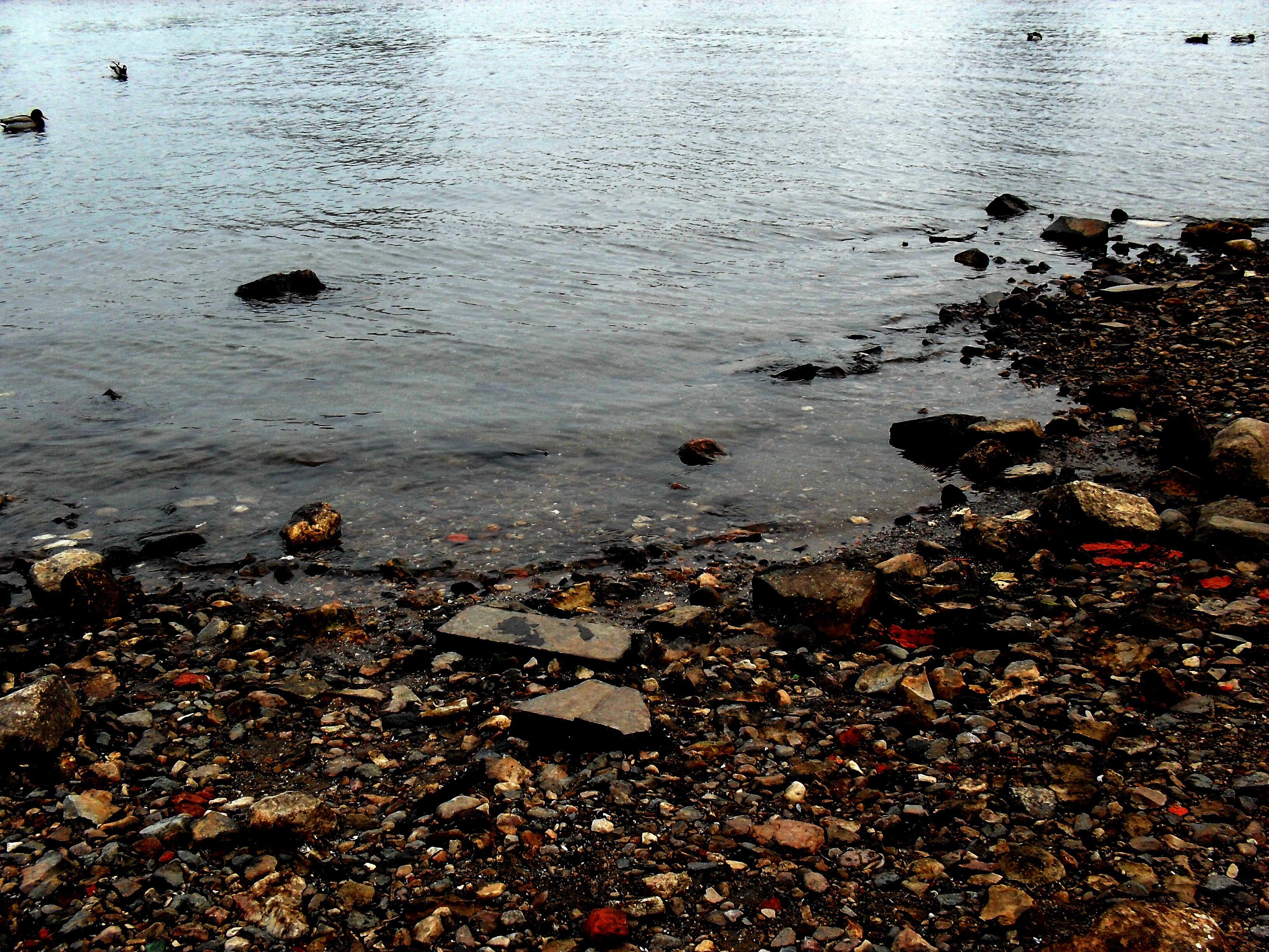 Выходит море окнами на сушу...