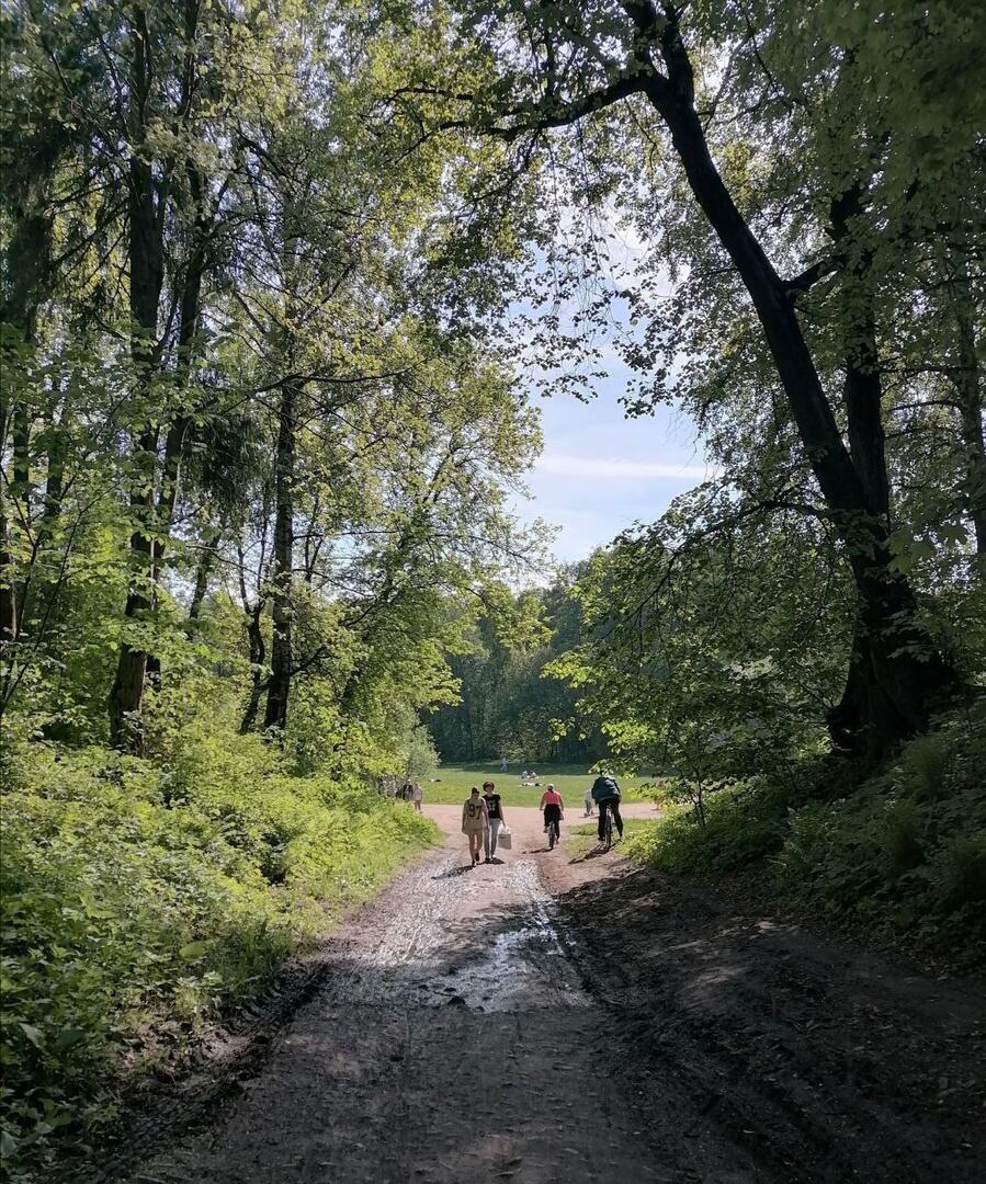 В Удельном парке