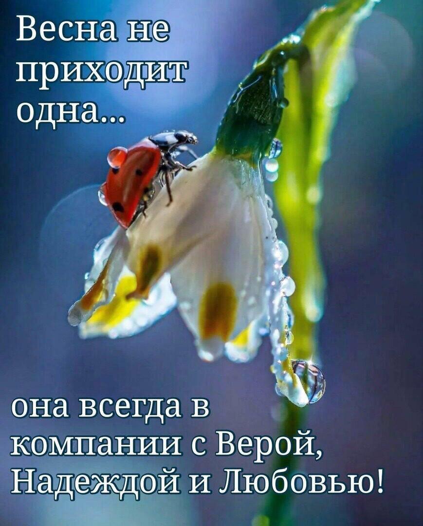 Весна не приходит одна