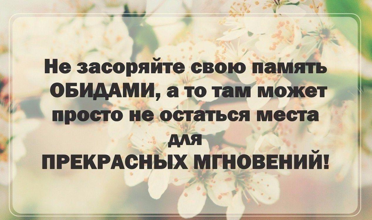 Забить память. Не засоряйте память обидами. Не засоряйте свою память обидами Достоевский. Не засоряйте свою память обидами а то. Не засоряйте свою память обидами а то там может просто.