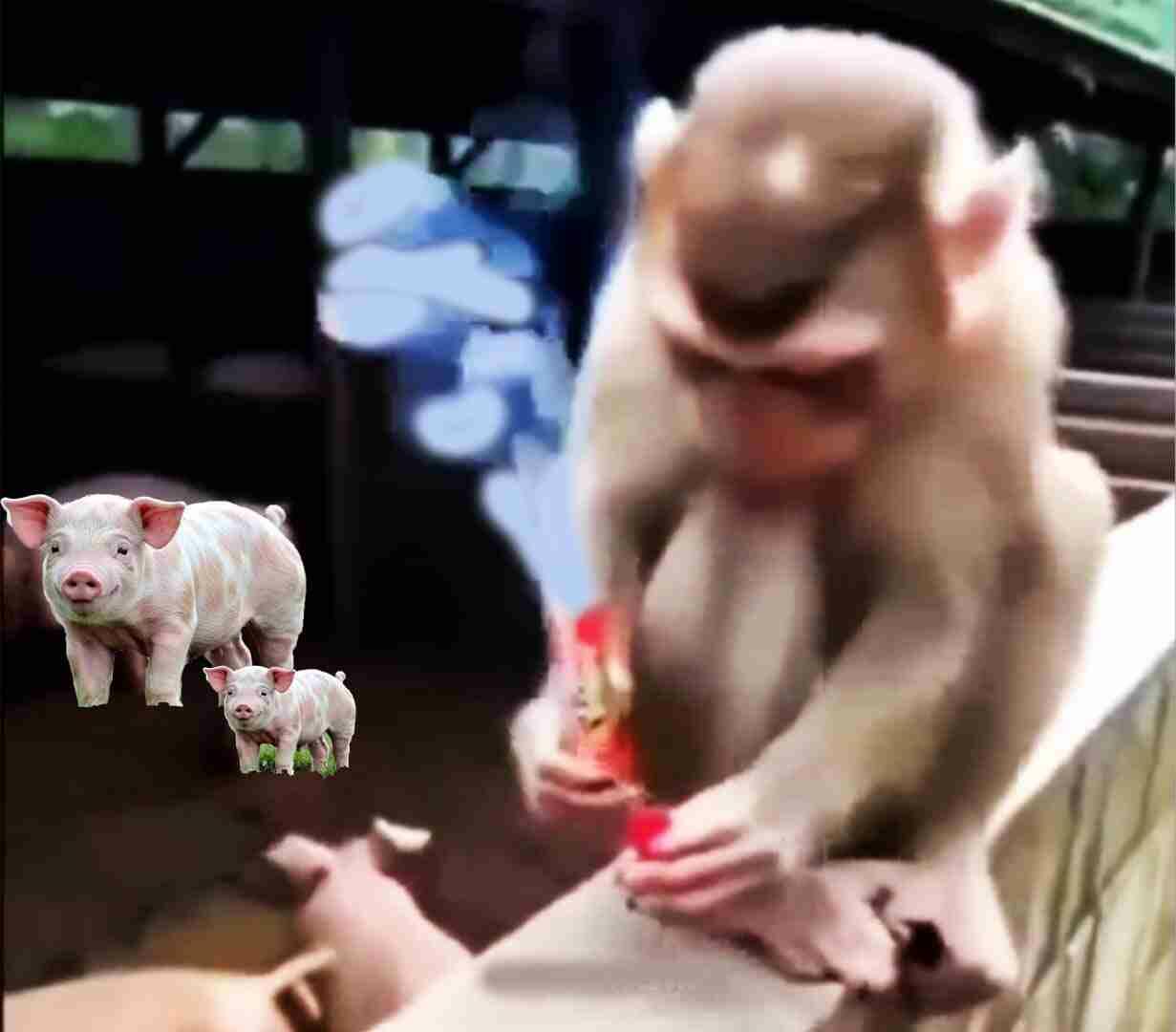 Нездоровые шутки