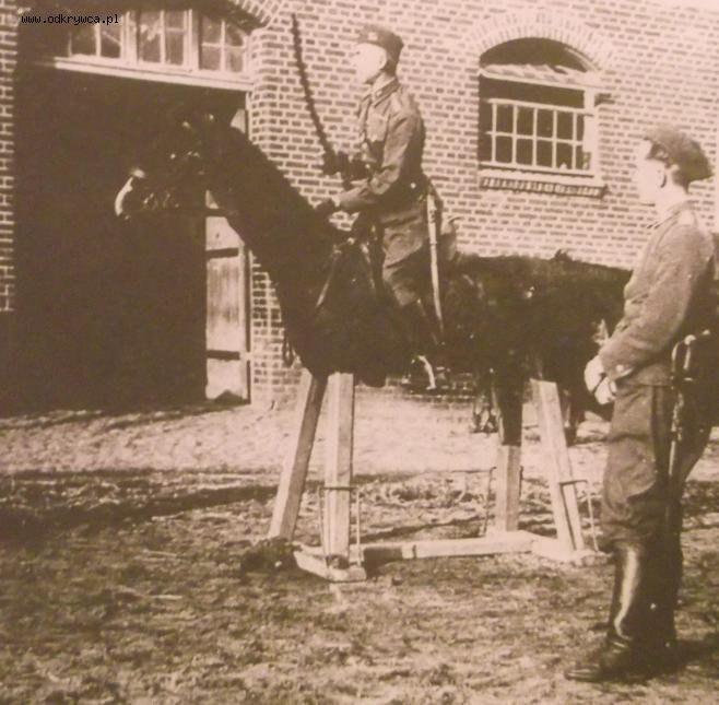 Польский конь, военно-исторический юмор