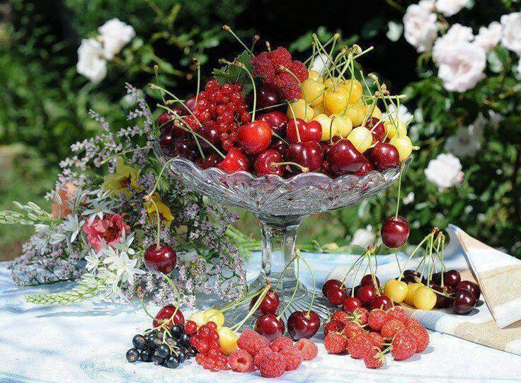 Ловите краски лета всей душой