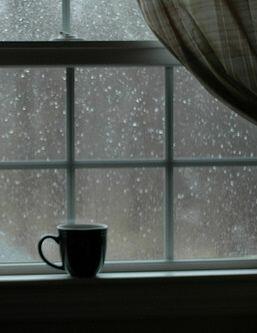 Холод свободы